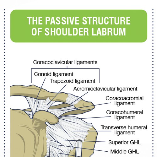 Shoulder Pain Graphic