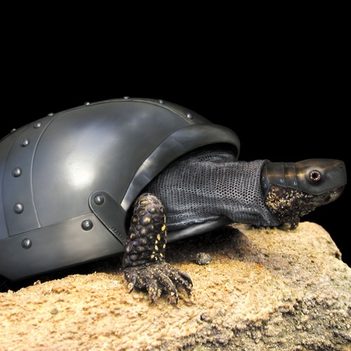 Tank turle