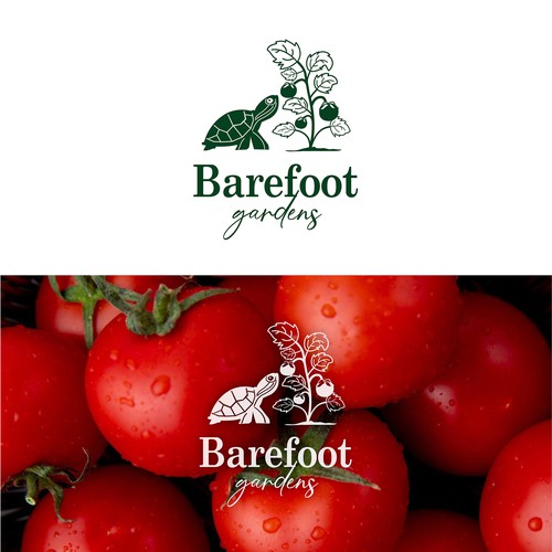 Turtle looking at the tomato tree