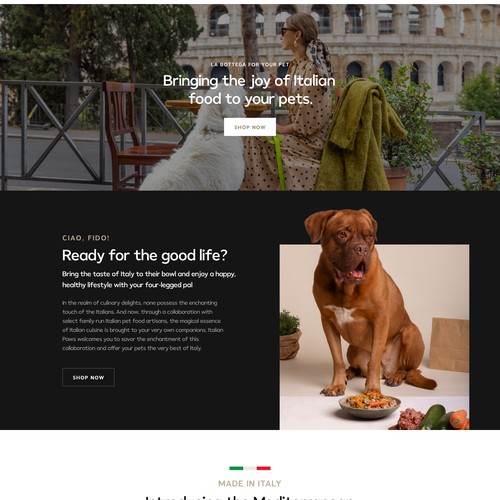 Website design for a pet food company