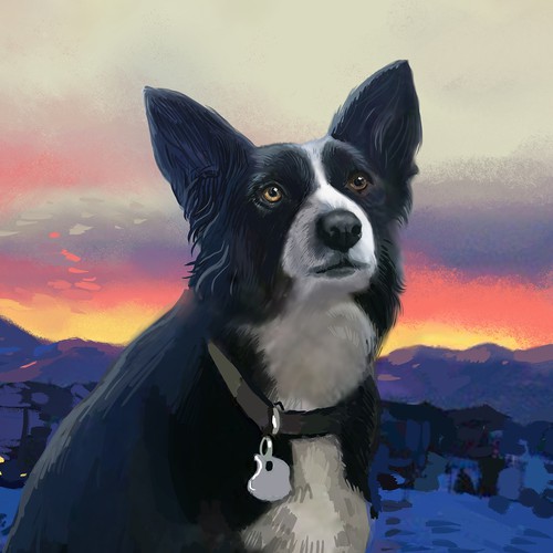Painting Border collie