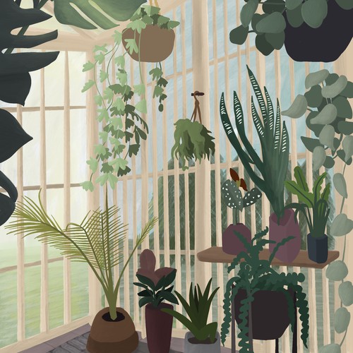 Indoor Jungle Cover Art