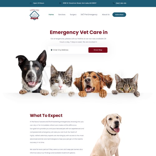 Landing Page Design for an Emergency Services Veterinary Hospital