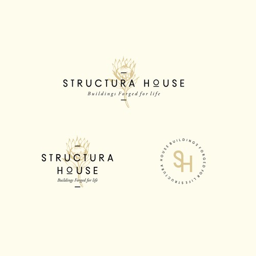 concept for Structura House