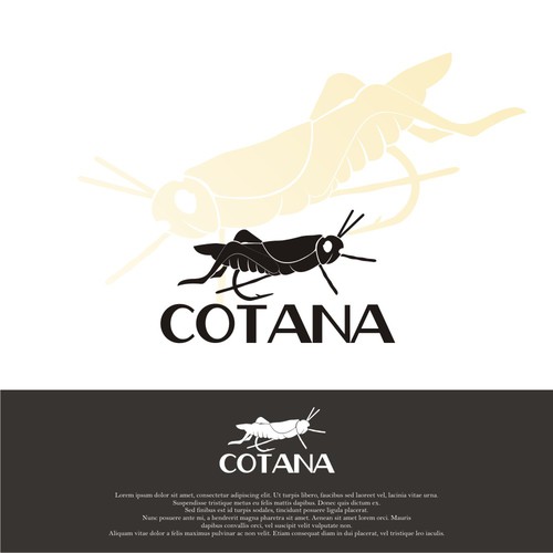 cotana design concept