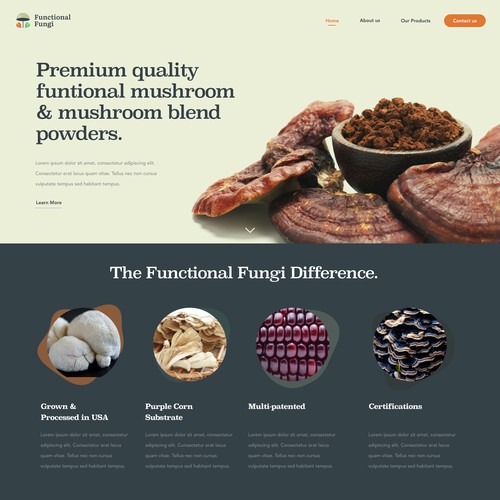 Website Concept