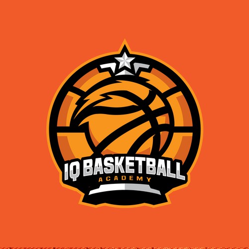 IQ Basketball Academy