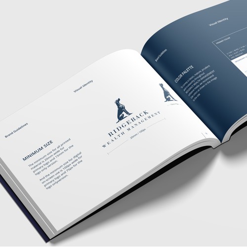 Brand Style Guidlines Design
