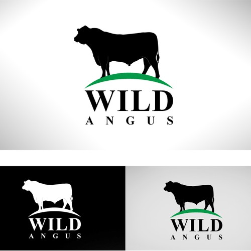 WILD ANGUS