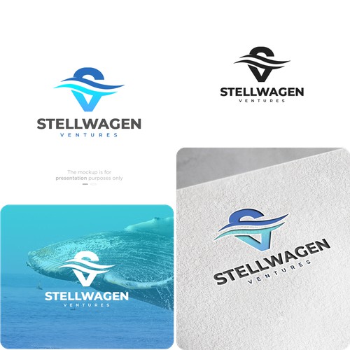 Stellwagen Ventures