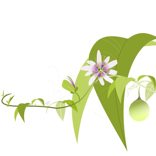 Create a plant illustration for Blooming