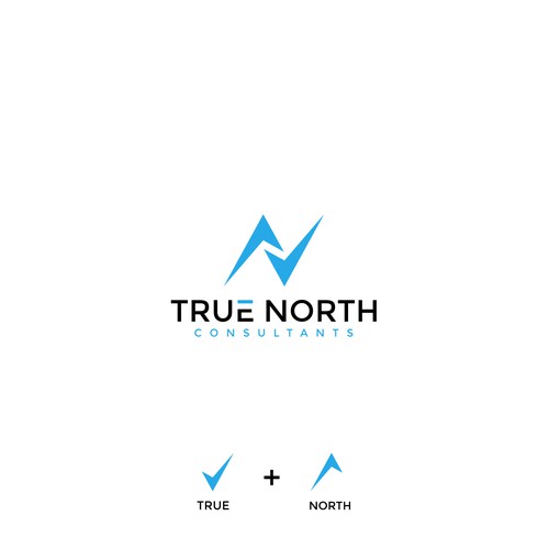I took the concept of true north consultant from the meaning of each word, then I combined symbols from true and north to make a logo