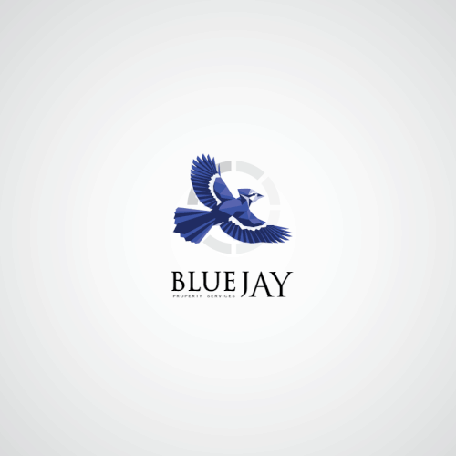 Blue Jay