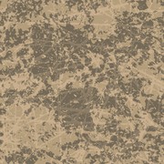 Reviewed design