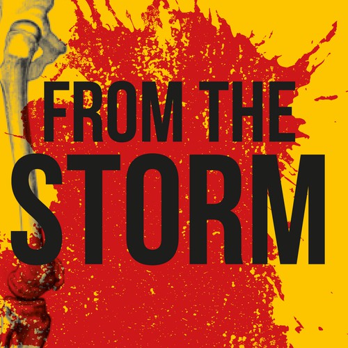 Buchcover FROM THE STORM#2