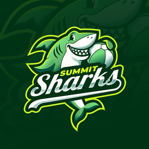 Shark Beach Volleyball