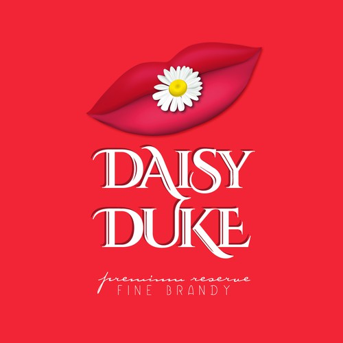 DaisyDuke Project