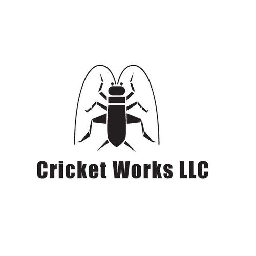Logo Design for Cricket Works