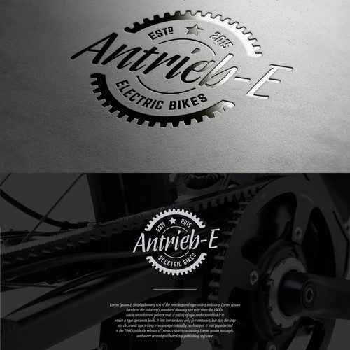 Corporate Identity for an Electronic Bicycle Shop (bikes powered by electricity)