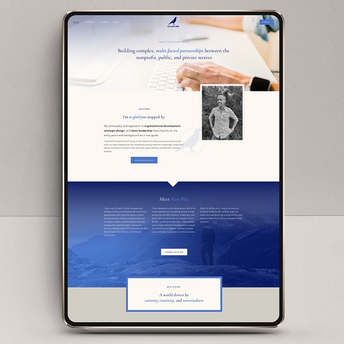 Custom Squarespace website for Austin Consultants