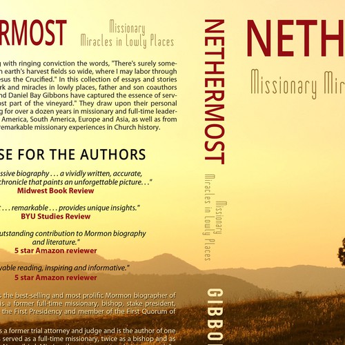 Create Evocative Cover for "Nethermost: Miracles in Lowly Places"