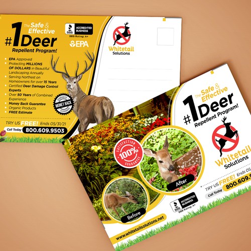 Whitetail Solutions - Deer Repellent Program - Postcard