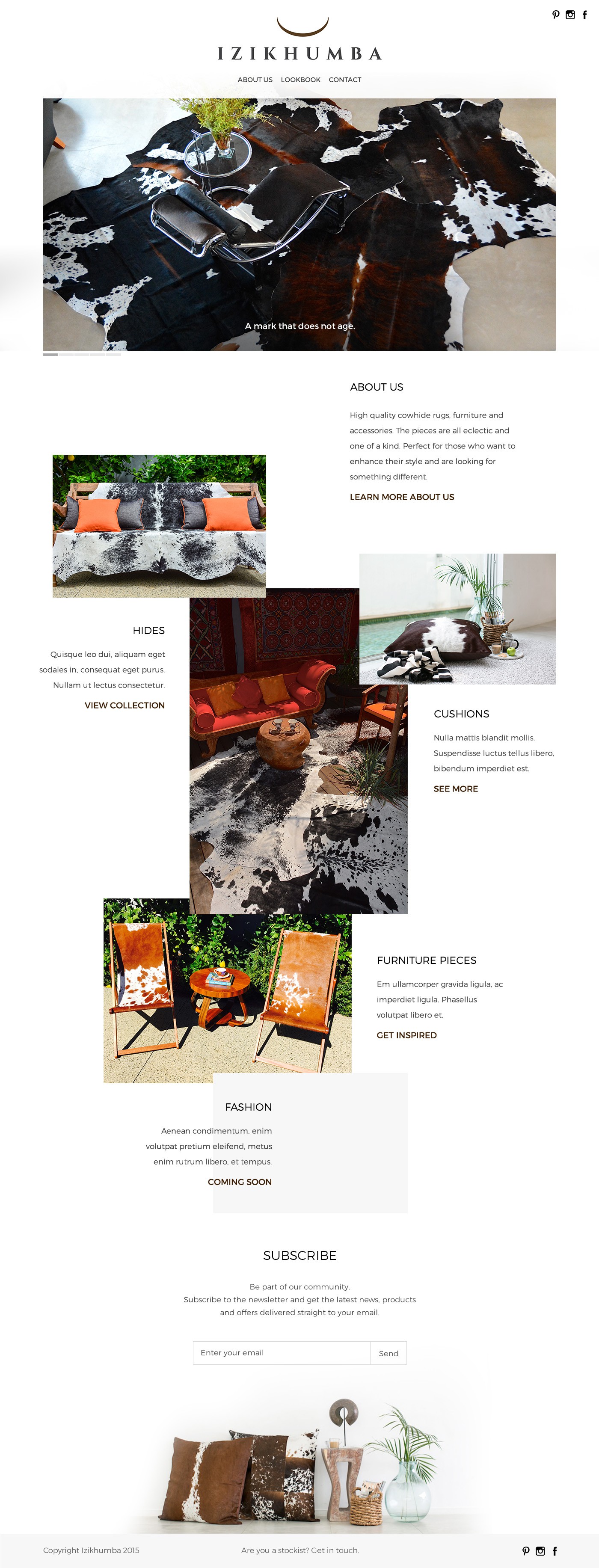 Create a stylish, contemporary web page for Izikhumba.