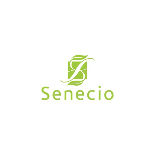 Senecio