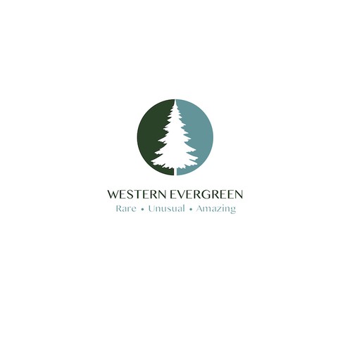 Western evergreen 