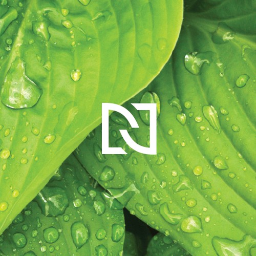 Nuvo