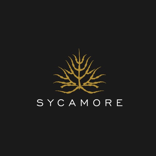 Sycamore