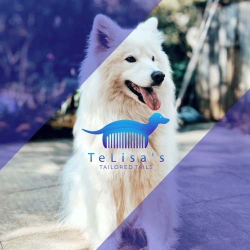 Dog grooming for TeLisa