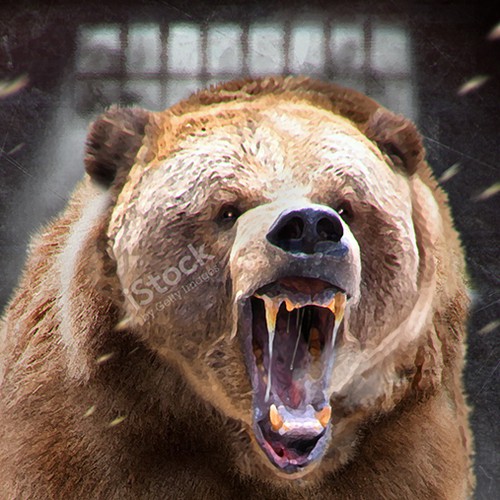 BOOK COVER "THE BEAR"