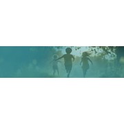 Reviewed design