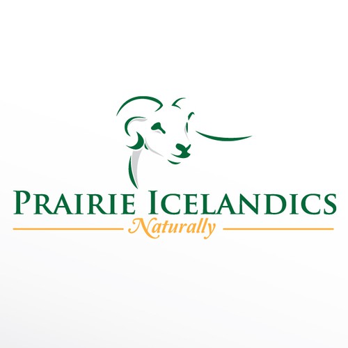 New logo wanted for Prairie Icelandics