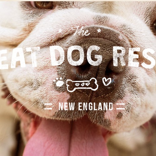 Great Dog Rescue New England