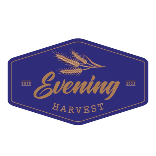 Evening Harvest 