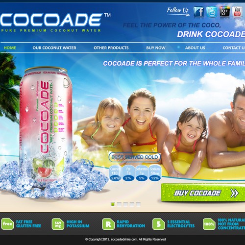 **Urgent**  Need help for a new web design - www.cocoadedrinks.com