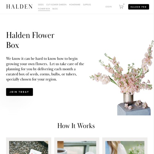 Halden Flower Box Ecommerce Customization
