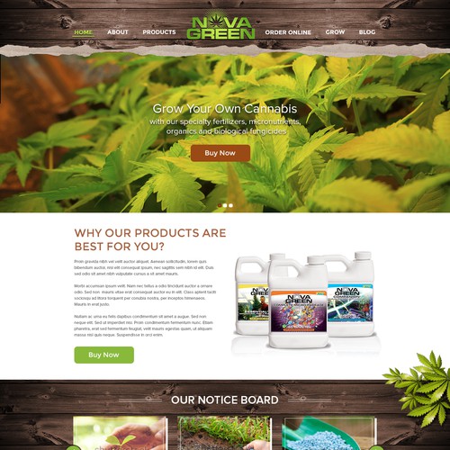 Webpage Design for NOVAGREEN