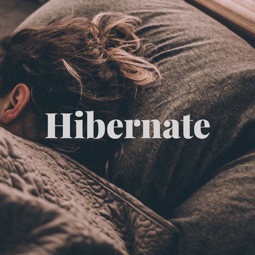 Hibernate Logo