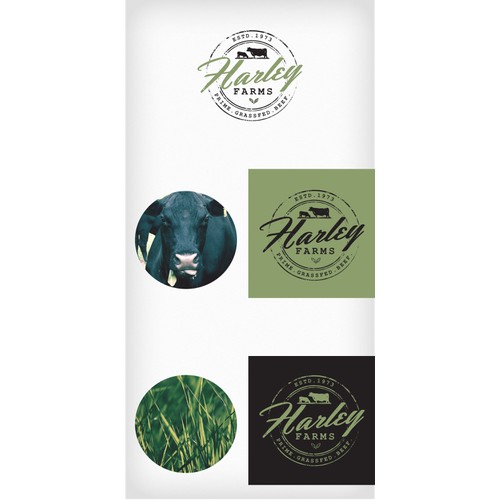 Logo Design for Organic Beef Breeder