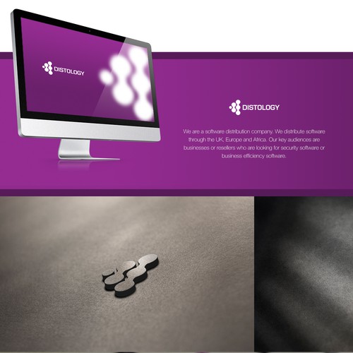 Pan-European Software Distributor with Global Reach - Logo Needed