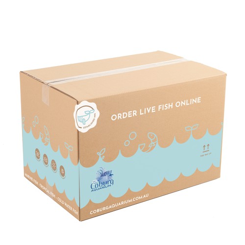 Packaging Konzept – Fish Online Shop