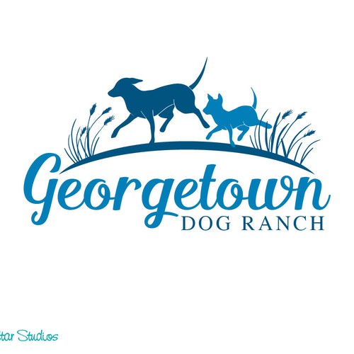 Create a logo for dog boarding facility