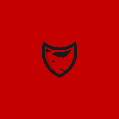 Rhino Security & Cabling Solutions