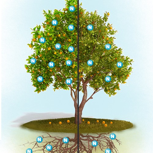 Illustrating how two different products effect the health of a citrus tree