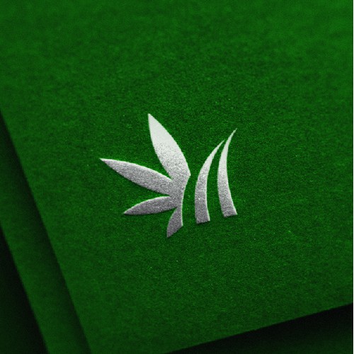 Modern Design for Accounting Firm in the Cannabis Space