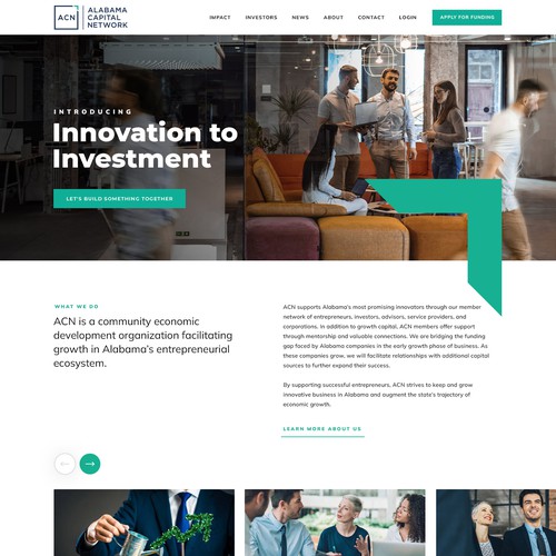 Website design for Investor company