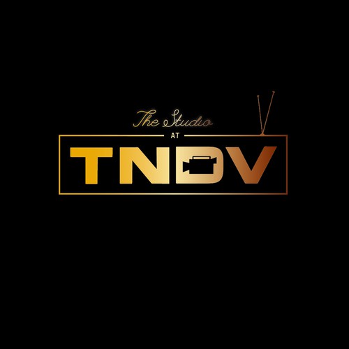 Logo The Studio TNDV